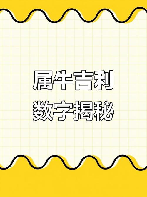 属牛人的财运数字