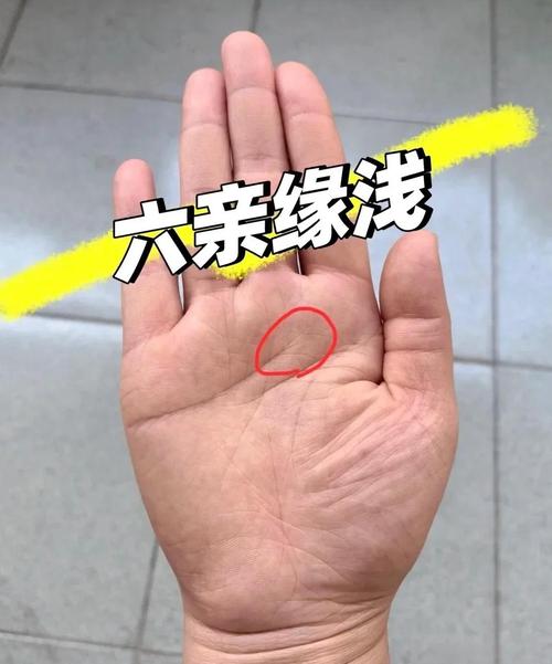 感情线尾部分三叉