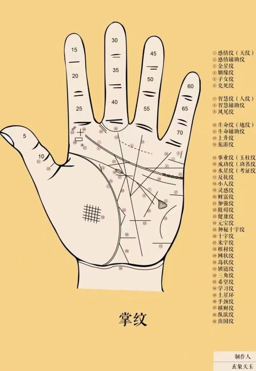 男人财运线看哪只手，怎样判断财运的好坏？