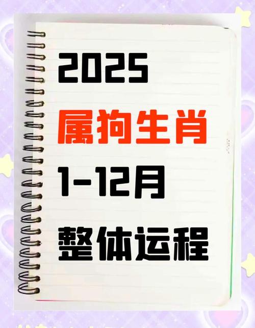 属狗2024青龙年出生有什么大坎吗