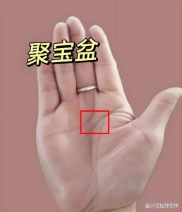 女人智慧线上有三角纹，可在学术上有所建树？