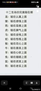 属狗人命中注定的另一半