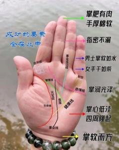 男人掌纹怎么看，什么样的掌纹有好运？