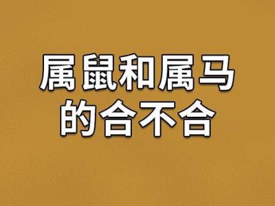 属马和属鼠生意上能合作吗