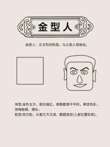 金型人运势如何