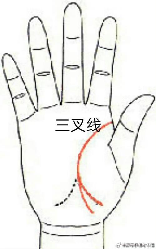 生命线中途开了个大叉