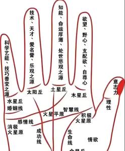 手相佛眼纹有什么说法