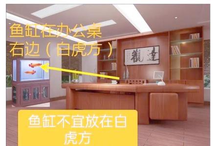 办公室的风水布局  不宜白虎乱抬头