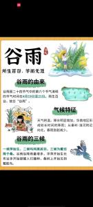 谷雨节气是春天还是夏天 春季最后一个节气