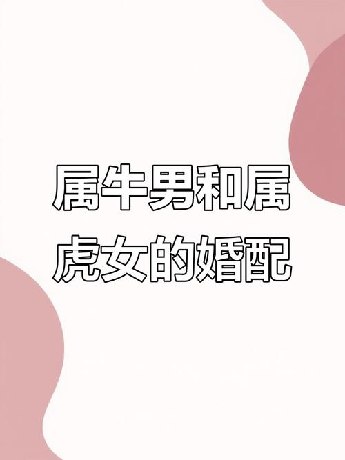 两人相处融洽 生肖虎男跟生肖牛女配吗