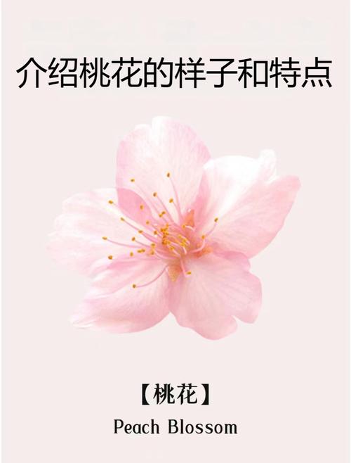 怎样增强自己的桃花运 旺桃花的花是哪个花