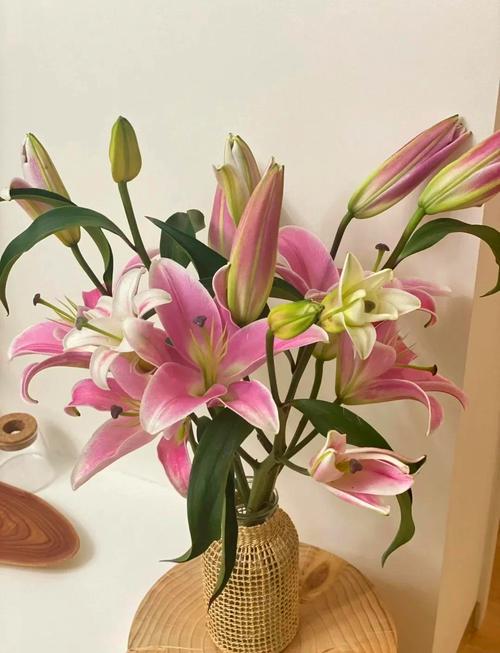 求姻缘在卧室摆放什么 百合提爱运招好姻缘