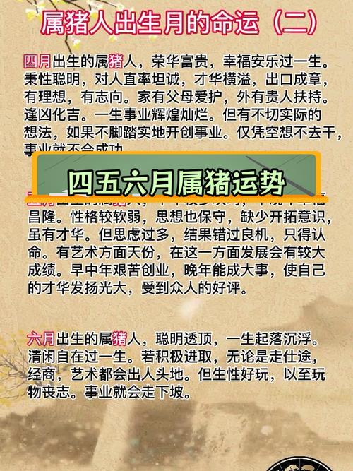 不同时辰出生的属猪人命运分析 属猪的下午出生好吗