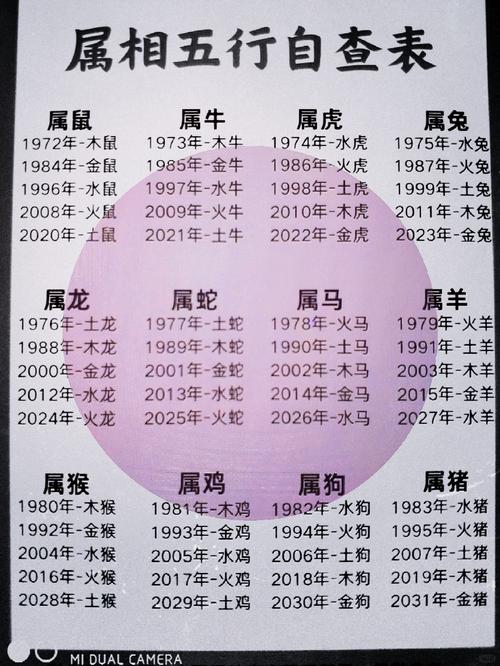 1964年出生的人是什么命