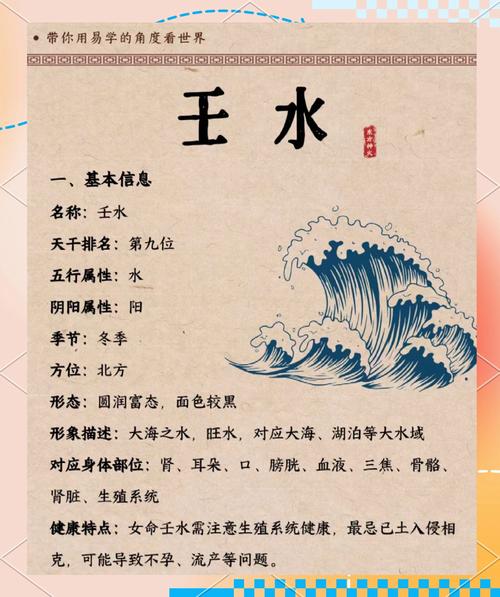 壬水命为什么是老板命