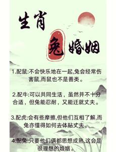 如何改善夫妻感情 1987年属兔人2024年婚姻感情有什么坎坷