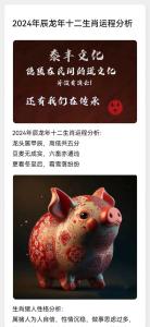 属猪2024龙年工作财运等运程分析
