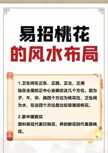 怎样斩掉老公的桃花运  先找桃花位