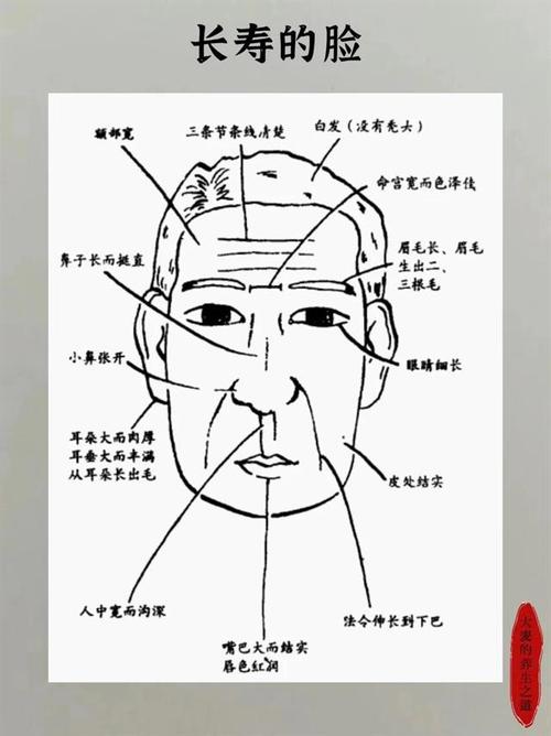 长寿人的面相特征 有何说法