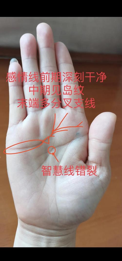 情路坎坷的女人手相