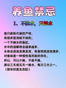 家庭养鱼需要注意哪些风水问题？