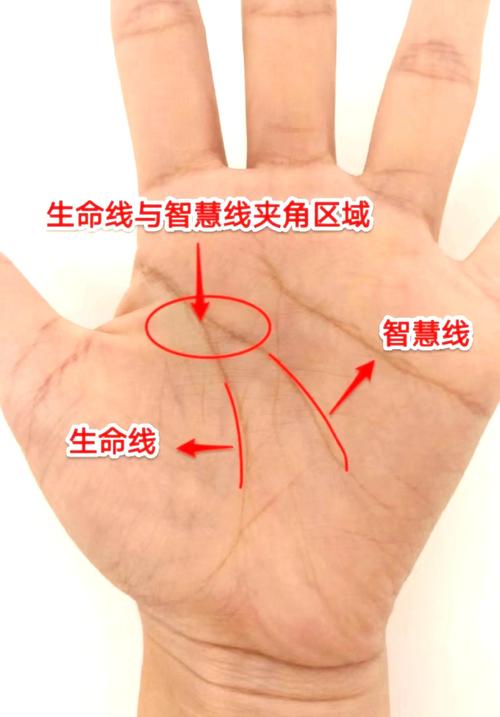 能赚1000亿的手相 成功线延伸到生命线