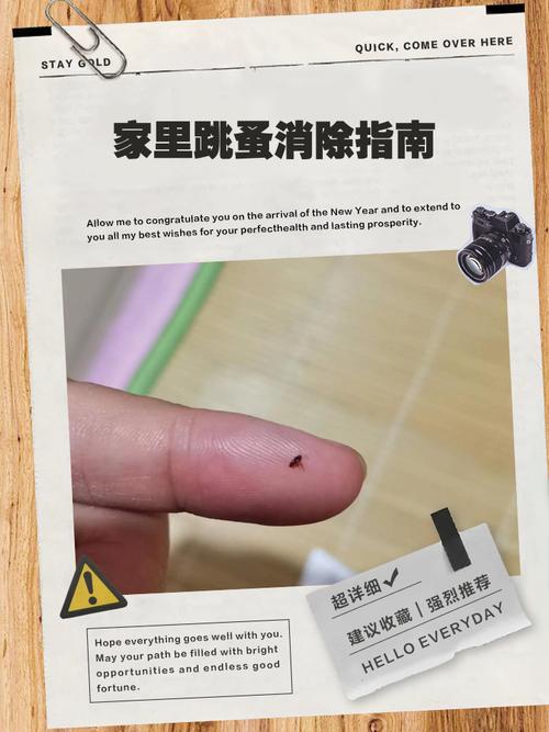 家里频繁坏东西怎么破