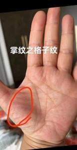 手掌杂纹看命运——格子纹