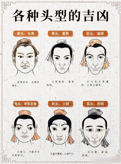 面相分析头型尖的男人
