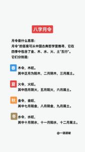 为什么八字首看月令