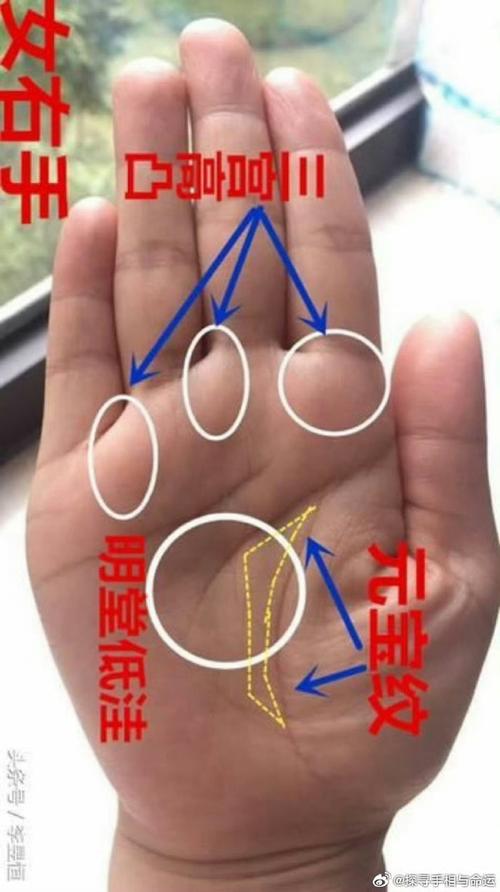 几种不愁钱花的手相