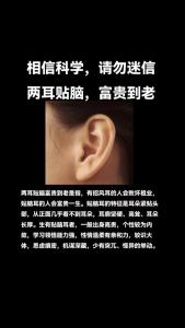 双耳贴脑的女人嫁贵夫是真的吗