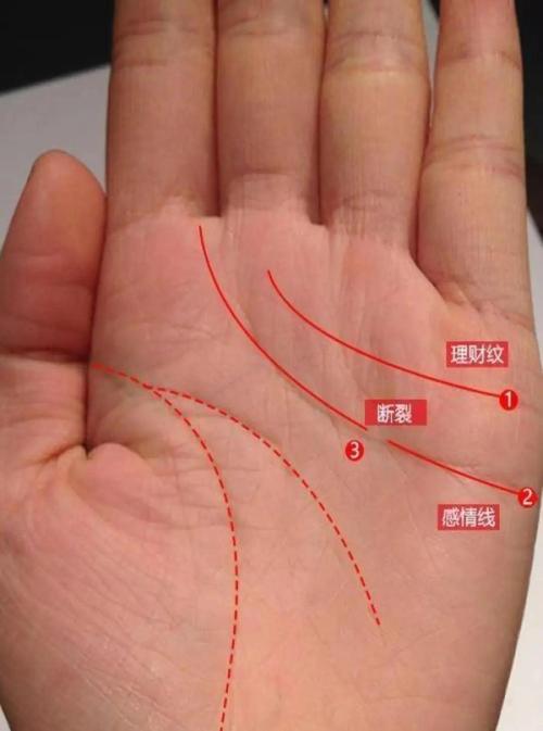 男人手相婚姻线有两条代表异性缘不错？