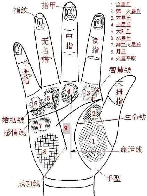 不受异性欢迎的女人手相智慧线分叉图解