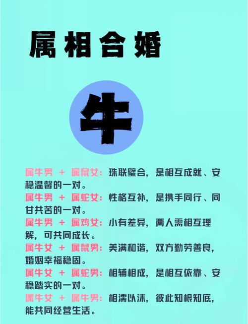 互相包容安全感十足 生肖牛女与生肖牛男配吗