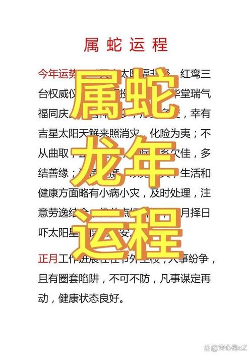 77年蛇未来运势如何 1977属蛇2024年47岁以后运气好吗