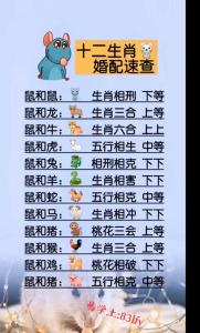 99年属兔女和96年属鼠男婚配如何 99兔女和96鼠男八字合吗