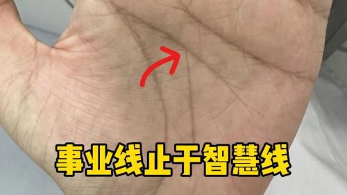 事业线止于智慧线之下的人会遭遇中年危机！