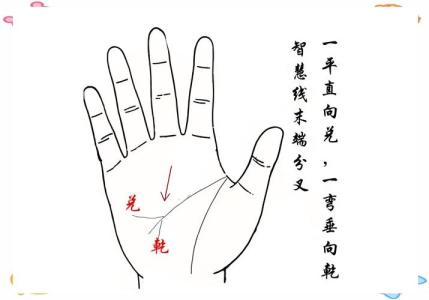 男人智慧线末端分叉，有视财如命的倾向！
