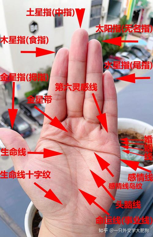 手相分析断掌纹好不好一秒看透