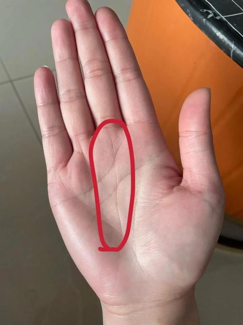 最罕见的手相通天纹