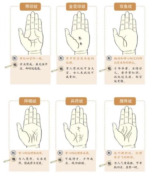 掌纹乱代表什么
