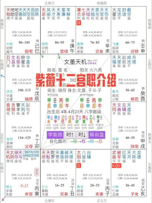 紫微斗数入门，紫微命盘各命宫详解