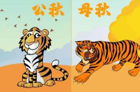 2022年秋老虎是公还是母 秋老虎公母哪个更热