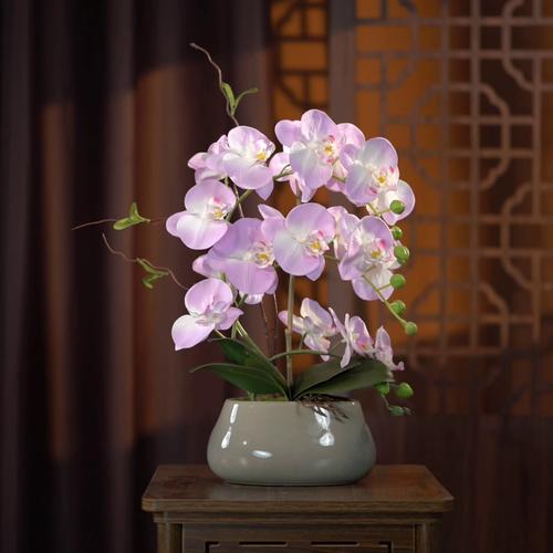 客厅电视柜摆什么干花好  兰花清新典雅净化空气