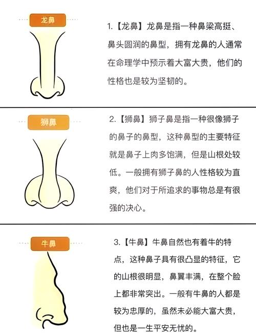 天生富贵命的牛鼻面相分析