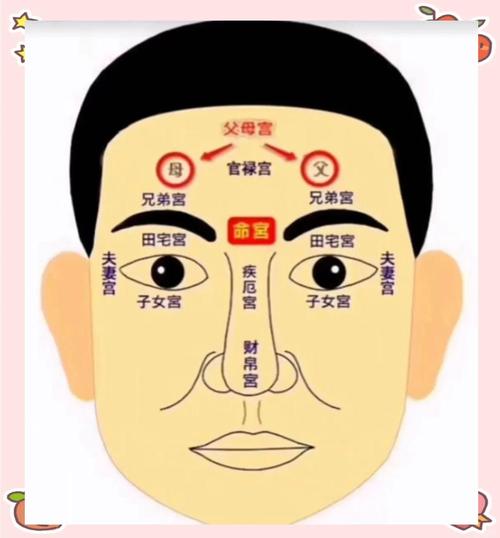 如何从面相看一个人的子女运