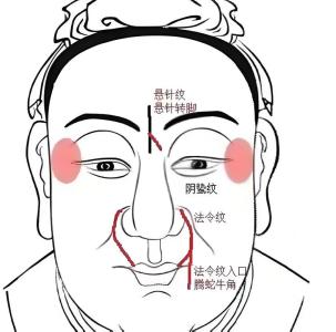人中上有竖线面相 人中有条竖线代表什么