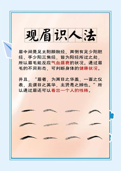 看眉毛形状预知身体疾病