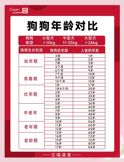 属狗的年龄表2024年多大 2024年属狗的年龄对照表